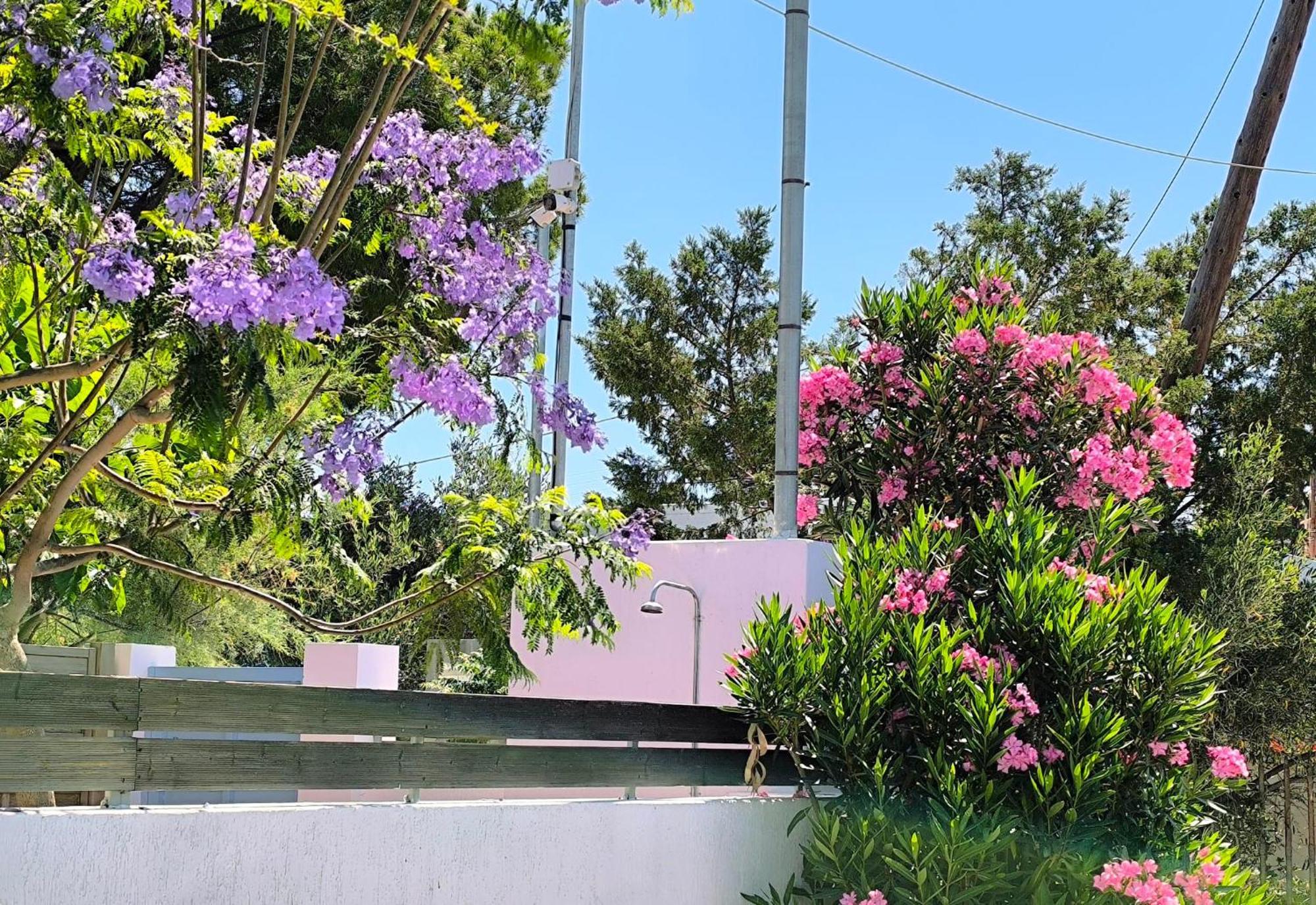 シニアスSeaside Jacarandaアパートメント エクステリア 写真
